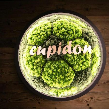 Pensiunea Cupidon Tîrgu Secuiesc Buitenkant foto